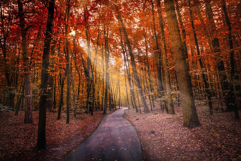 Autumn experience by peterheinspictures