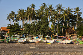 Colourful jukung fishing boats beneath palm trees, a haven in Medewi, Bali by Fotos by Jan Wehnert