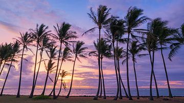 Zonsopkomst bij Kapaa Beach Park, Kauai, Hawaï van Henk Meijer Photography