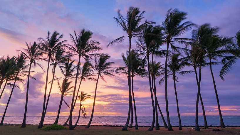 Lever de soleil au Kapaa Beach Park, Kauai, Hawaii par Henk Meijer Photography