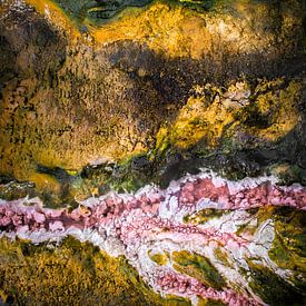 Formes de la nature sur Rob van der Wal