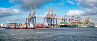 Schepen bij de Euromax-containerterminal in de haven van Rotterdam van Sjoerd van der Wal Fotografie thumbnail