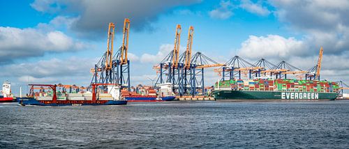 Schepen bij de Euromax-containerterminal in de haven van Rotterdam