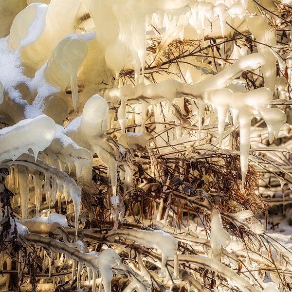 Sculpture de glace par Peter Bolman