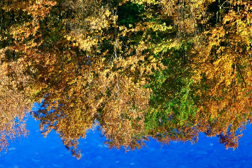 Goldener Oktober von Thomas Jäger