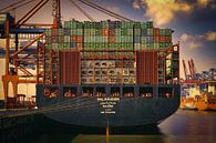 Containerschiff am Kai von Sabine Wagner Miniaturansicht