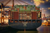 Container ship at the quay
