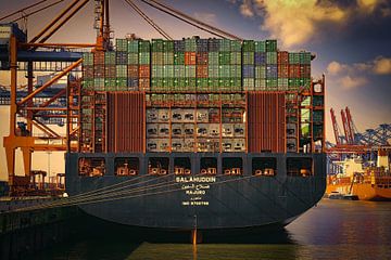 Containerschiff am Kai von Sabine Wagner
