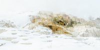 Volcanic rock structures Yellowstone