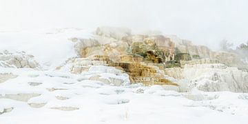 Vulkanische rotsstructuren Yellowstone van Sjaak den Breeje