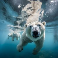 Diving polar bear