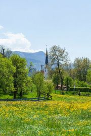 Bad Wiessee, Tegernsee von Torsten Krüger
