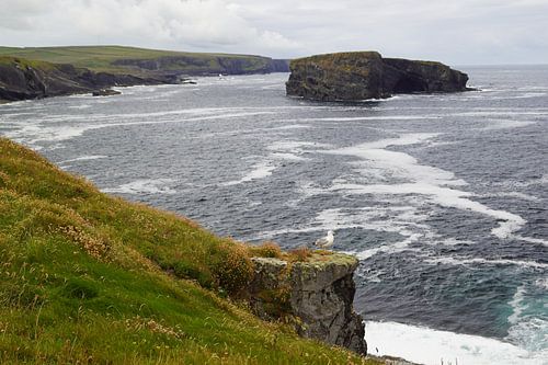 De Kilkee Cliff Walk
