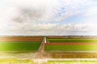 Hollands landschap van Erik Reijnders thumbnail
