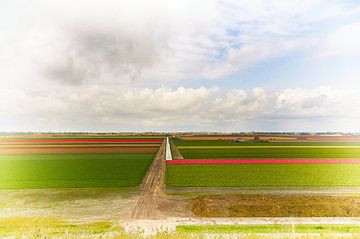 Hollands landschap van Erik Reijnders