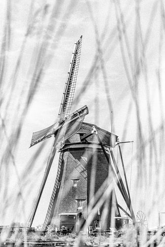 Molen, zwart-wit