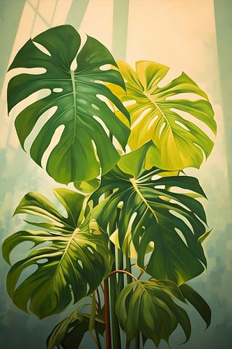 MONSTERA