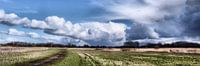 Westenwind