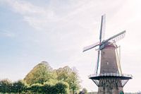 Molen in Hulst