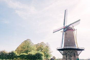 Molen in Hulst