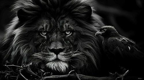 wilde dieren in zwart-wit