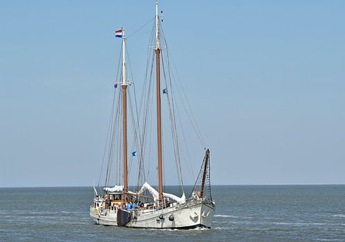 Het bruine vloot schip Antoinette R