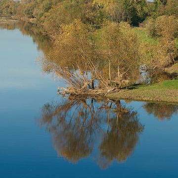 Weiden aan de oevers van de Elbe van Heiko Kueverling