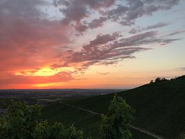 Sonnenuntergang by Alexander Nachtrieb