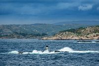 Blick auf den Lyngdalfjord in Norwegen