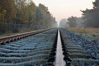 Treinrails