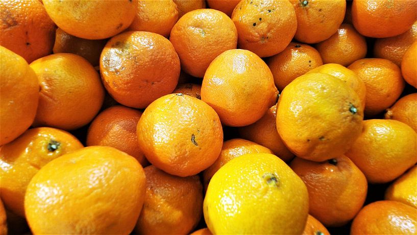 Zitrus-Sonnenschein: Leuchtendes Orangenglühen von pungky setiawan