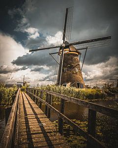 Path to the Mill – Kinderdijk