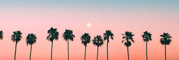 Zonsondergang boven palmbomen van Poster Art Shop