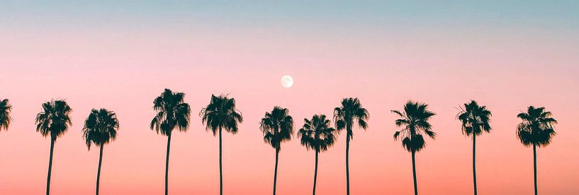 Sunset over palm trees by Poster Art Shop
