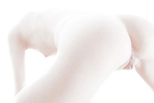 Künstlerischer Akt des Gesäßes und einer Vagina in Farbe von Art By Dominic