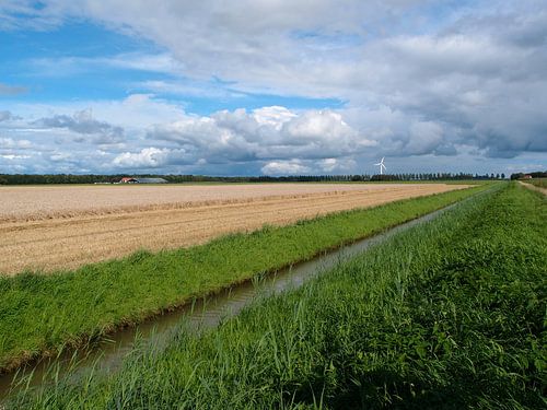 Onze Noordoostpolder.