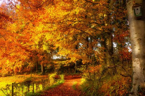 Herfst in Zuid-Limburg