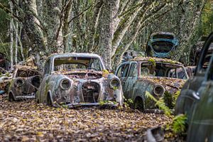 Rostige Hinterlassenschaften im Wald - Autofriedhof in Schweden