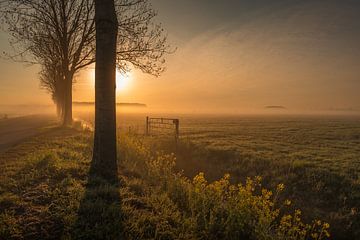 Landschaft am Morgen von Moetwil en van Dijk - Fotografie