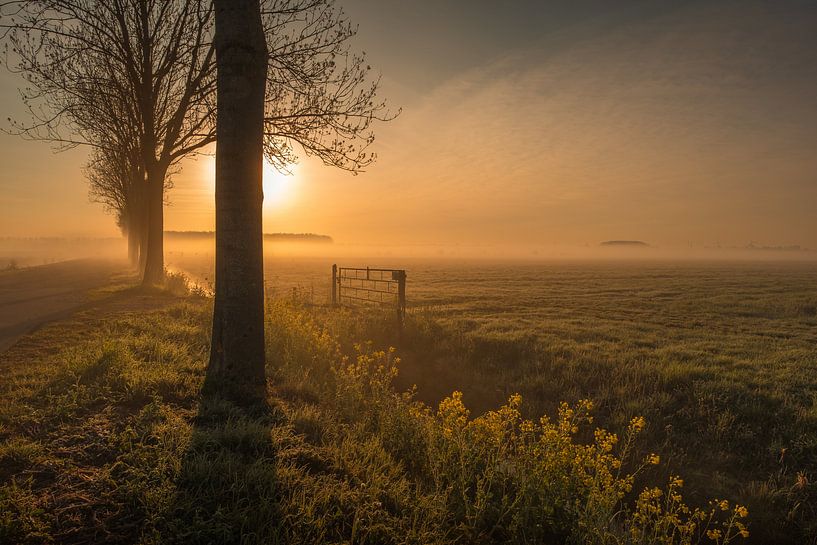 Landschaft am Morgen von Moetwil en van Dijk - Fotografie