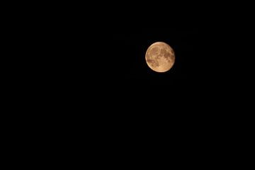 Volle maan van Frank Kosemund