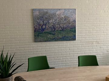 Photo de nos clients: Verger en fleurs, Vincent van Gogh