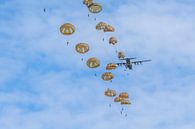 paradropping by Raymond Engelen thumbnail