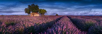 Boerderij in het lavendelveld in de Provence, Frankrijk. van Voss Fine Art Fotografie