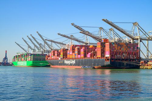 Containerschepen Ever Alp en Al Nefud meerden aan bij de containerterminal.