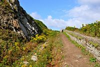 Wandelpad