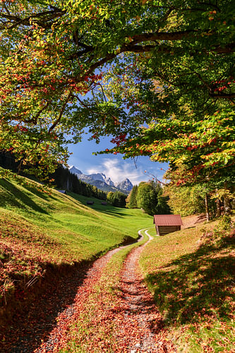 Herbstlandschaft mit Zugspitzblick