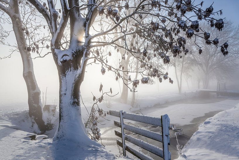 Winter in der Alblasserwaard von Ko Hoogesteger