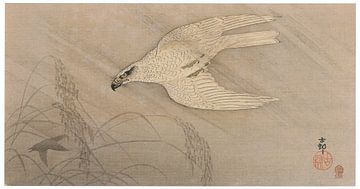 Ohara Koson - White hawk in the rain (edited) by Peter Balan