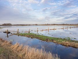 Hammen laagland bij het Teufelsmoor van Katrin May